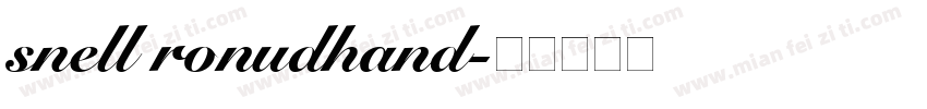 snell ronudhand字体转换